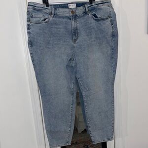 Lane Bryant Classic Blue Denim Jeans